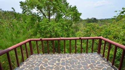 View point balcony for green tropical forest looking