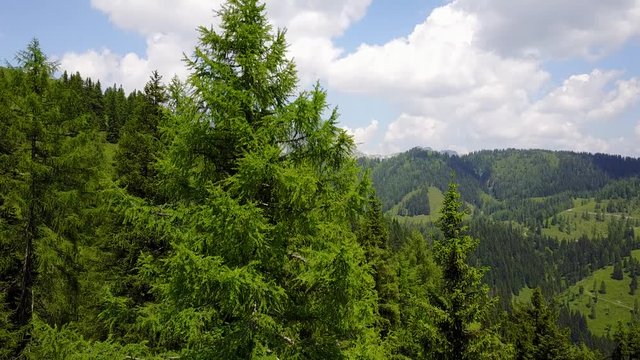 Werfenweng