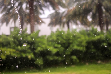 Fototapeta na wymiar Rainy Outside