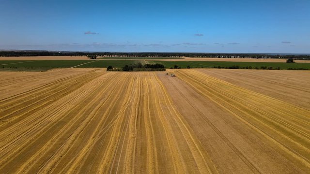 aerial footage around two combine harvester working on gold wheat field during harvesting season