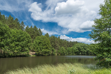 beautiful lake and shore with trees