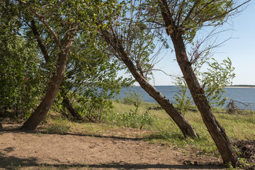 Fototapeta premium Landscape photos of the don river and forests