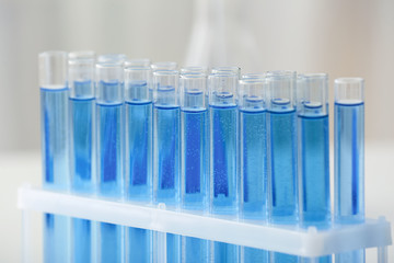 Test tubes in laboratory, closeup