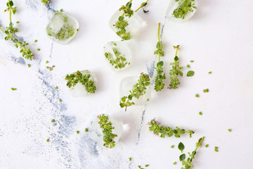 Frozen flowers in ice on white background