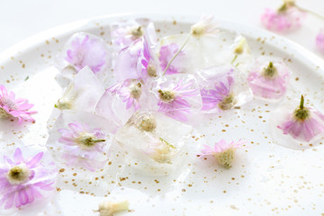 Fototapeta na wymiar Plate with frozen flowers in ice, closeup