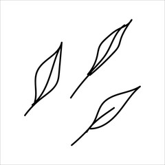 Autumn line art set willow leaves. Hello autumn concept. Suitable for collage, postcards, stickers, posters, stamps, logos, labels and more. Modern hand-drawn Vector illustration isolated on white.