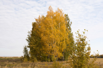 Fototapeta premium Landscape pictures taken around the village Shigony, on the river Cheserek and its surroundings