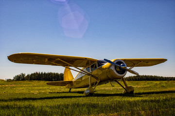 Taildragger in the grass