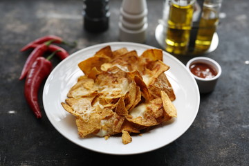 Baked corn nachos with cheese and  tomato salsa. Mexican cuisine. An appetizing snack. Suggestion to serve the dish. Culinary photography.
