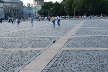 Fototapety na wymiar - Fototapeta24.pl