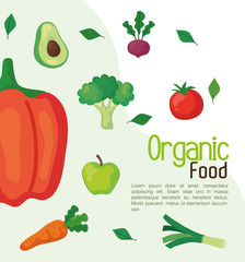 banner with fruits and vegetables organic, concept healthy food vector illustration design