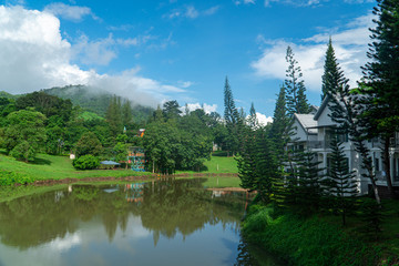 Fototapeta premium Beautiful Nature Asis Natural Landscape.