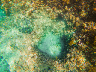 underwater sea bottom view