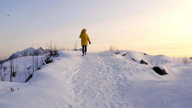 Back view from drone of female traveler in yellow winter jacket walking on snowy island cliff while looking at breathtaking nordic landscape, woman wanderlust exploring Norway fjords during journey
