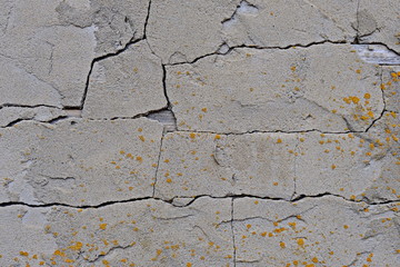 Wall background texture. Gray plaster in cracks with traces of fungus. For design and web design, creating games 3D texturing .