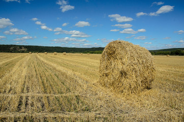 haystack in a field in august
