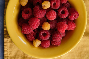 Raspberries in a yellow plate. Copy space.