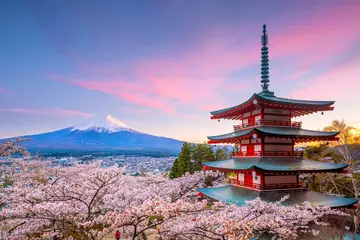 Küchenrückwand glas motiv Fuji Berg Fuji und Chureito rote Pagode mit Kirschblüten-Sakura
