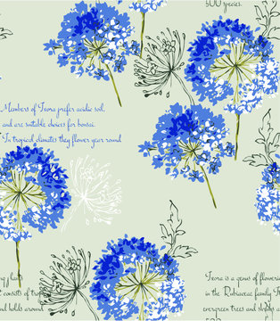 Blue Jasmine Spring Flower Seamless Pattern