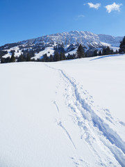 Ski touring trails
