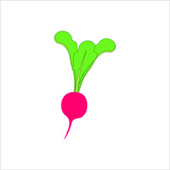 vegetable radish, illustration for web and mobile design.