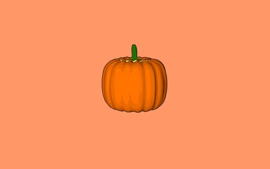 Orange pumpkin illustration isoalted on light background. Autumn graphic icon.