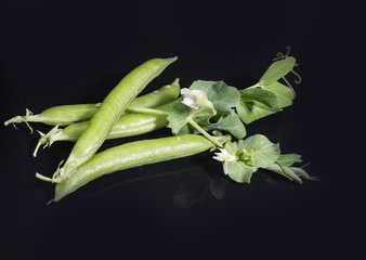 Green pea pods lie on a black background. Horizontal arrangement