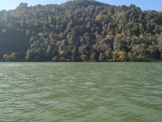 Lush green trees grown on the mountain next to the green fresh water lake.
