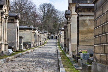 graveyard in the cemetery in paris