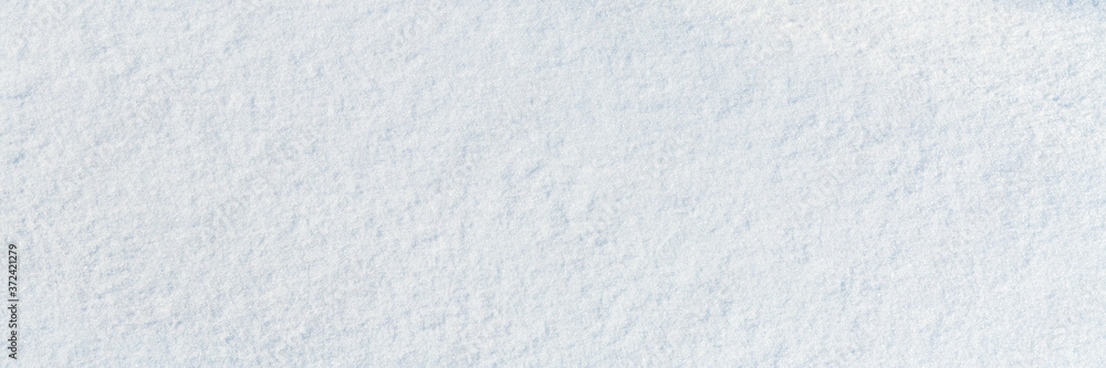 Canvas Prints natural snow texture. smooth surface of clean fresh snow. snowy ground. winter background with snow 
