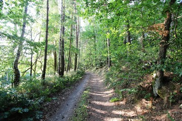 Fototapeta premium Landschaft