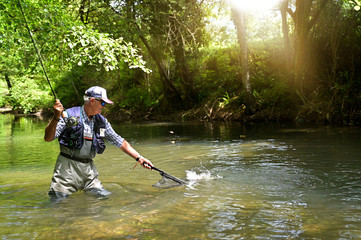 fly fisherman in summer catching a rainbow trout fishing in a mountain river