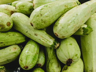 View of a bunch of fresh zucchini in the market, vegetarian food. Zucchini young, ecology and nature concept.