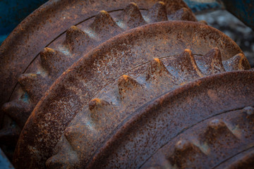 trilla oxidada, Treviño, basque country, spain