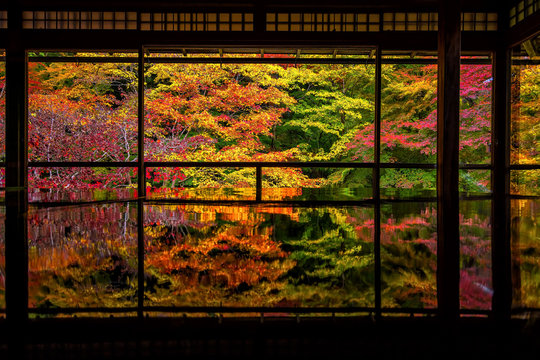 Fototapeta Colorful autumn Japanese garden of Rurikoin temple in Kyoto