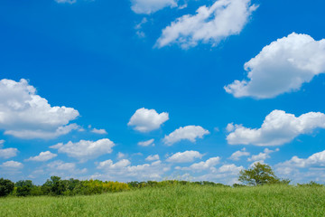 夏の草原　爽やか　背景素材