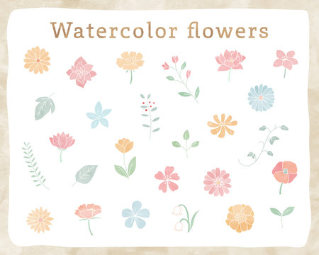 手書きの花や葉の水彩イラストのセット／植物／おしゃれ／かわいい／素材／自然
