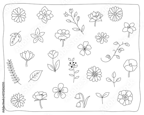 手書きの花や葉のイラストのセット 植物 おしゃれ かわいい 素材 自然 Wall Mural Yugoro