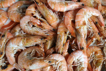 close up view of fried shrimps on a plate.