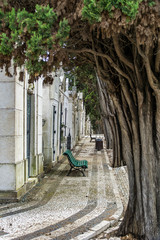 Fototapete bei efototapeten.de bestellen   