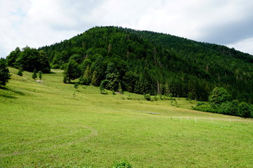 Fototapeta na wymiar Meadows and forests above Jasenova with hills of Mala Fatra National Park, Slovakia. Sunny summer day 