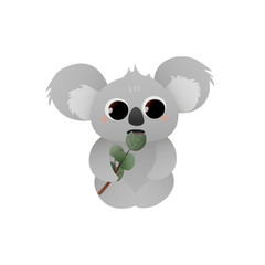 Cute koala bear eating eucalyptus leaves isolated on white background, kids or nursery print