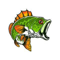 Illustration of bass fish. Big perch. Perch fishing. Design element for logo, emblem, sign, poster, card, banner. Vector illustration