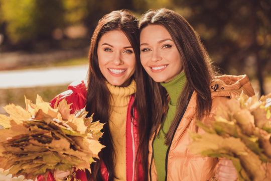 Close up photo of two positive buddies girls enjoy autumn park forest relax hold collect maple leaves wear bright outfit