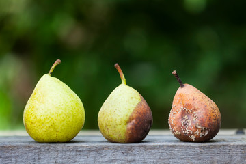 aging concept. fruit is spoiled