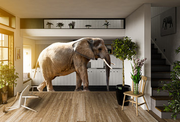 Elefant steht in großer Wohnküche