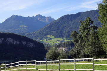 Blick vom Wildpark auf Feldkirch und den Walgau