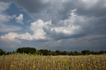 Obraz premium great route path 13 Larchant - France