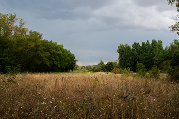 great route path 13 Larchant - France