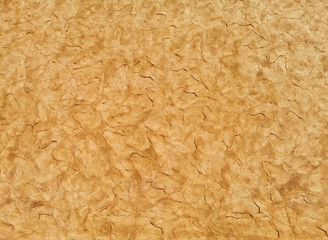 Background and texture with Paint color on wall plaster